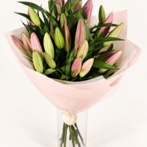Pink Oriental lily buds with green foliage in pale pink wrapping; vase not included.