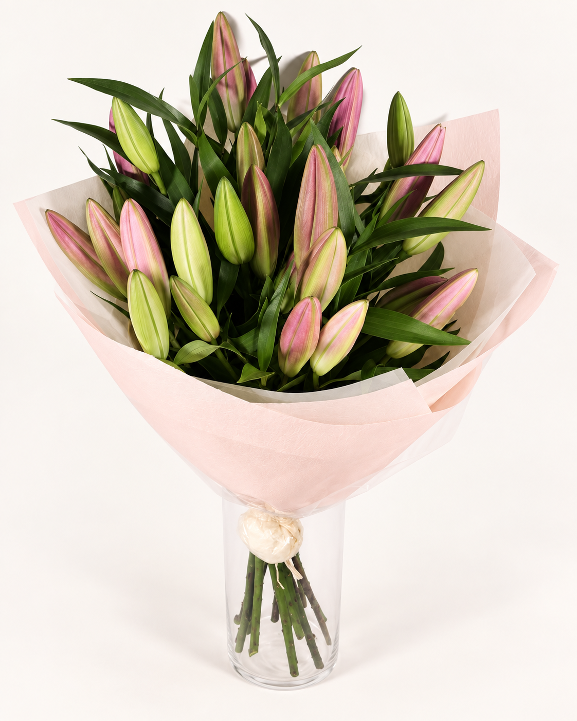 Pink Oriental lily buds with green foliage in pale pink wrapping; vase not included.